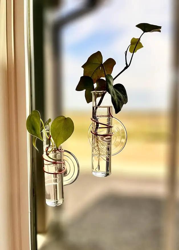 The Little Window Propagator | Window Propagation Station with Removable Glass Tubes, Indoor Plant Clippings, Cut Flowers, Herbs, Succulents | Home Decor | Plant Lover Gift (2) by GreenHaven Gardens