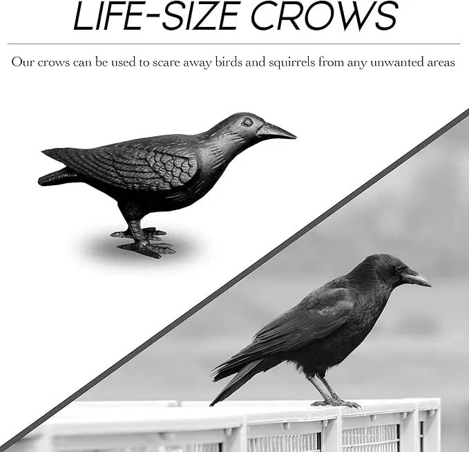 NACH Crow Decor, 4.5 x 11 x 3.5 inch, Cast Iron Black Raven Statue, Raven Decor for Outside - Head Up Crow Statue by GreenHaven Gardens
