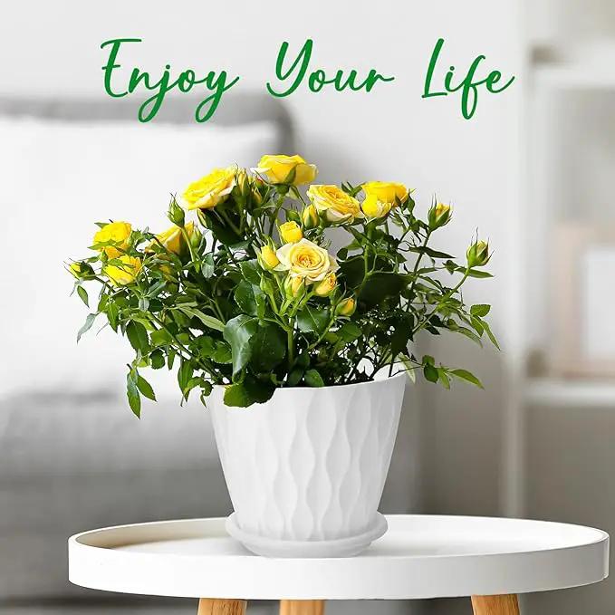 6 inch Plant Pots, 5 Pack Flower Pots Outdoor Indoor, Planters with Drainage Hole and Tray Saucer（White by GreenHaven Gardens