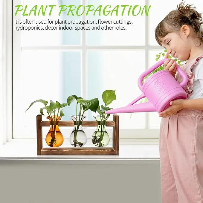 Plant Propagation Station Plant Terrarium Unique Birthday Gifts for Women Plant Lovers Home Office Decor Planter with Wooden Stand - 3 Bulb Glass Vase by GreenHaven Gardens