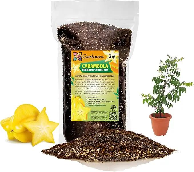 Premium Carambola Potting Soil Mix - Perfect Balance of Nutrients, Drainage, and Aeration for Thriving Starfruit Trees - 2 Quart by GreenHaven Gardens