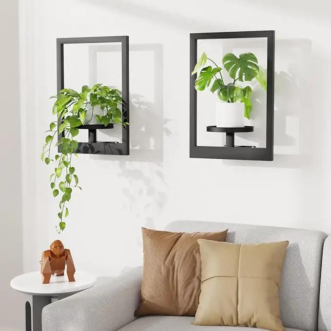 Picture Frame Wall Plant Holder, Metal Window Plant Shelves Plant Holder for Indoor Plants, Hanging Wall Planters Wall-Mounted Plant for Home, Office, and Garden (Black, 2PCS) by GreenHaven Gardens