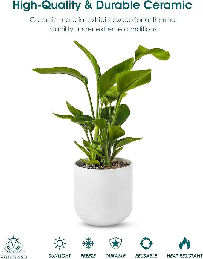 vancasso 8 Inch Ceramic Plant Pots, Planters with Drainage Hole, Flower Pots Planters Pots for Indoor Plants, Modern Indoor Decorative Garden Pot, Home Decor, White by GreenHaven Gardens