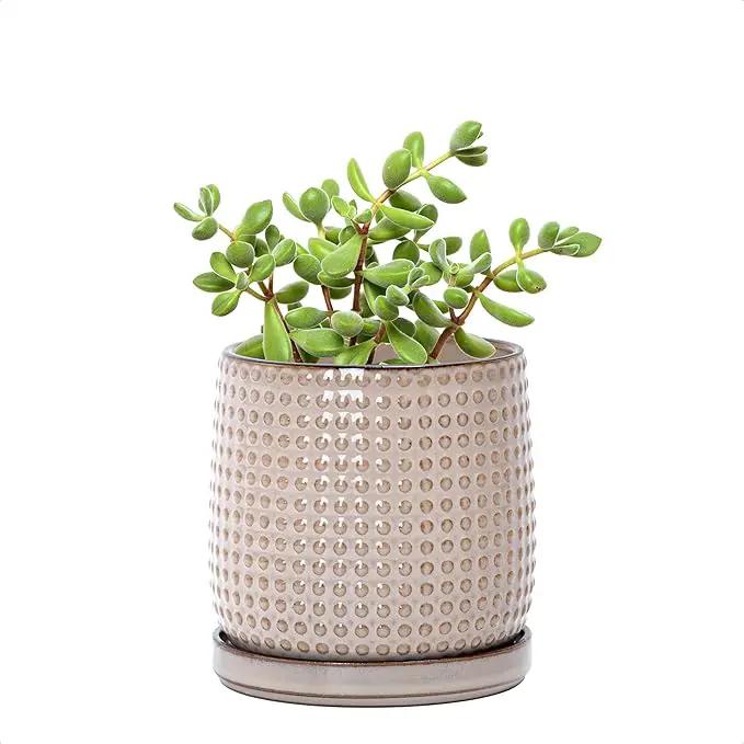 D'vine Dev 4 Inch Ceramic Beaded Stoneware Planter Pot - Flower Pot with Drainage Holes and Saucers for Indoor Succulent Plants or Flowers, Light Brown, 27-C-Z-4 by GreenHaven Gardens
