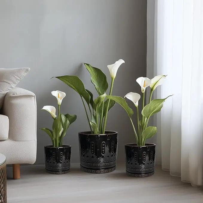 Ceramic Plant Pots - 6 Inch Ceramic Planter for Indoor Outdoor, Round Flower Pots with Drainage Hole and Plant Saucer, Boho Decorative Small Planter, House Decor, Gifts for Gardeners, Black by GreenHaven Gardens