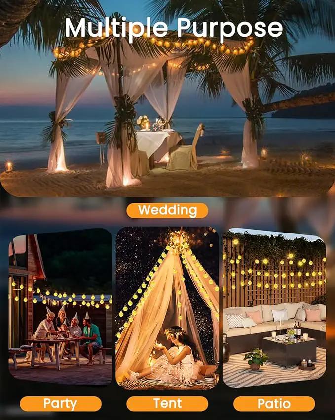 LORRYTE 2-Pack 64FT 100 LED Crystal Globe Solar String Lights Outdoor, Waterproof Solar Lights for Outside, 8 Lighting Modes Patio Decor for Garden Yard Porch Wedding Party(Warm White) by GreenHaven Gardens