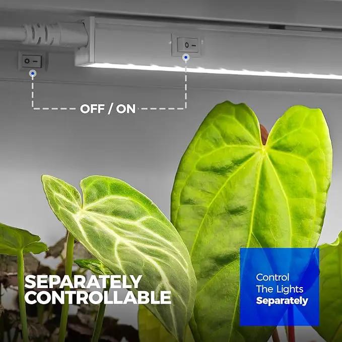 Barrina T5 Grow Lights for Indoor Plants Full Spectrum, 2FT 40W (4 X 10W) Indoor Plant Light with Separate Switch, Linkable Grow Lamp, Indoor Plant Lights for Growth with White Cover, 5000K, 4 Packs by GreenHaven Gardens