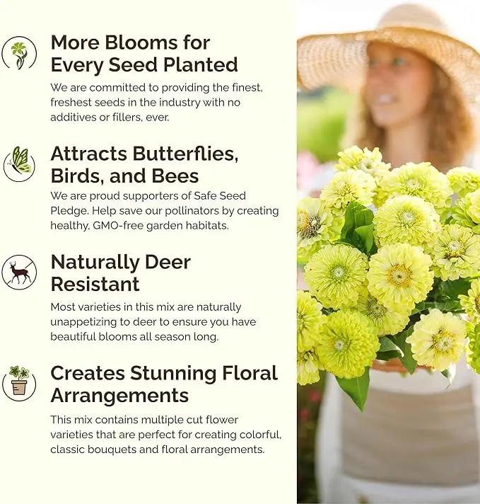 Eden Brothers Green with Envy Flower Mixed Seeds for Planting, 1 lb, 480,000+ Seeds with White Yarrow, Cornflower White | Attracts Pollinators, Plant in Spring or Fall, Zones 3, 4, 5, 6, 7, 8, 9, 10 by GreenHaven Gardens