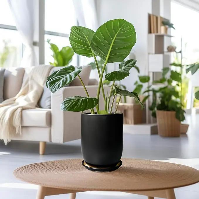 Ceramic Planter 8 Inch - Plant Pot for Indoor Outdoor Plants Cylinder Flower Pot with Drainage Hole and Saucer Black by GreenHaven Gardens