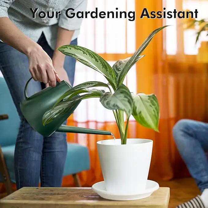 Watering Can for Indoor Outdoor Plants, Modern Small Watering Cans with Removable Nozzle, Long Spout Watering Can for Indoor Bonsai Plants Garden Flowers 1/2 Gallon 1.8L 60OZ (Dark Green) by GreenHaven Gardens