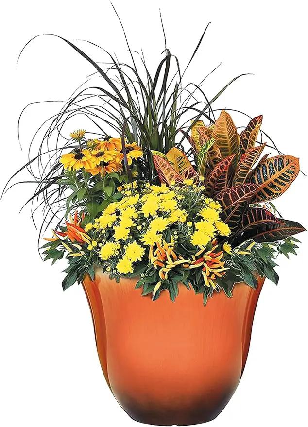Classic Home and Garden Honeysuckle Resin Flower Pot Planter, Tequila Sunrise, 15" by GreenHaven Gardens