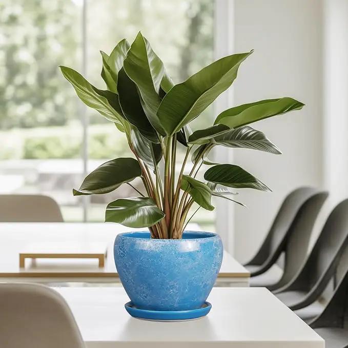 6 Inch Plant Pot - Ceramic Planter Pot with Drainage Hole and Saucer, Glaze Succulent Pot Modern Round Flower Pot for Indoor Plants, Blue by GreenHaven Gardens
