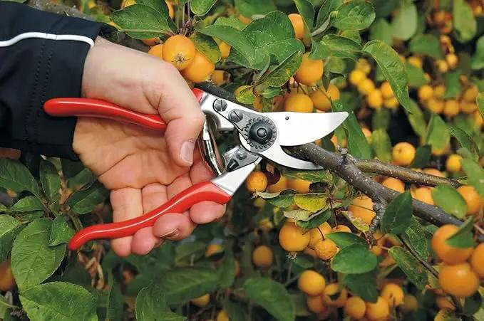 Felco F9 Pruning Shears –11" Swiss-Made Left-Handed Garden Clippers with 1" Cutting Capacity | Hand Pruners for Gardening | Garden Tool Cutter with Precision Bypass Blade, Forged Aluminum Handles by GreenHaven Gardens