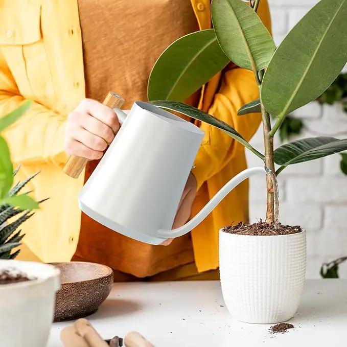 Green Moon Water Can Indoor Plant White 35oz with Long Spout Mini Water Can Indoor Metal Watering Can Pot for Indoor House Plant Bonsai Outdoor Garden Flowers Modern Decorative by GreenHaven Gardens