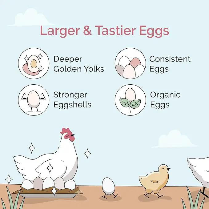 Chick Grit for Baby Chicks - Chickens Age 0-8 Weeks, 100% Natural Mineral Chick Grit Quartzite, Poultry Grit Digestive Aid, USA Mined, 50 lb by GreenHaven Gardens