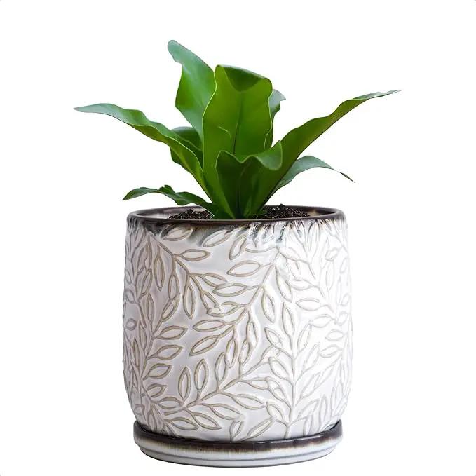 D'vine Dev 5 Inch Embossed Leaves Stoneware Planter Pot with Drainage Hole and Saucer, Smoked White, Set of 1, 27-A-V-1 by GreenHaven Gardens