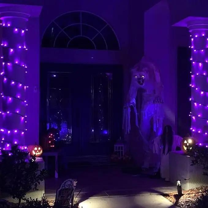 TW SHINE Purple Halloween Lights, 20FT 100 Count Incandescent Mini String Lights, Waterproof Halloween Decorations for Outdoor Indoor Patio Home Party Garden Yard Decor by GreenHaven Gardens