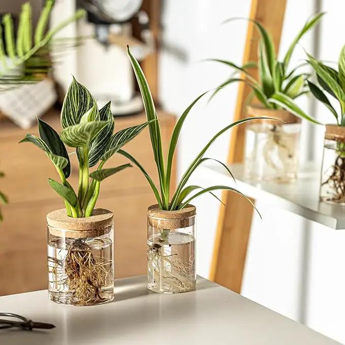 Glass Plant Propagation Stations for Plants – Set of 4(4 Large & 4 Small) Hydroponic Vases for Plant Cuttings,Flower Arrangements, Home & Office Decor–Desktop Vases for Living Room, Bedroom (8) by GreenHaven Gardens