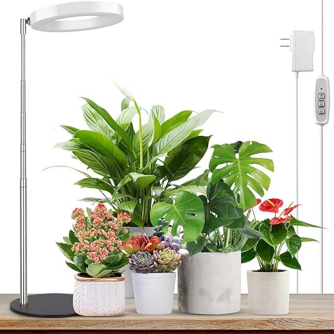 LORDEM Grow Light, LED Plant Light for Indoor Plants Growing, Full Spectrum Desk Growth Lamp with Automatic Timer for 4H/8H/12H, 4 Dimmable Levels, Height Adjustable 9.8"-30.6" by GreenHaven Gardens