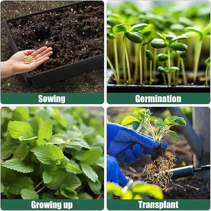 Seed Starter Kit - 10 Pack 1020 Seed Trays with 2 Seedling Heat Mats for Plants (10"x20.5"), Complete Seed Germination Kit for Indoor Gardening, Greenhouse Accessories by GreenHaven Gardens
