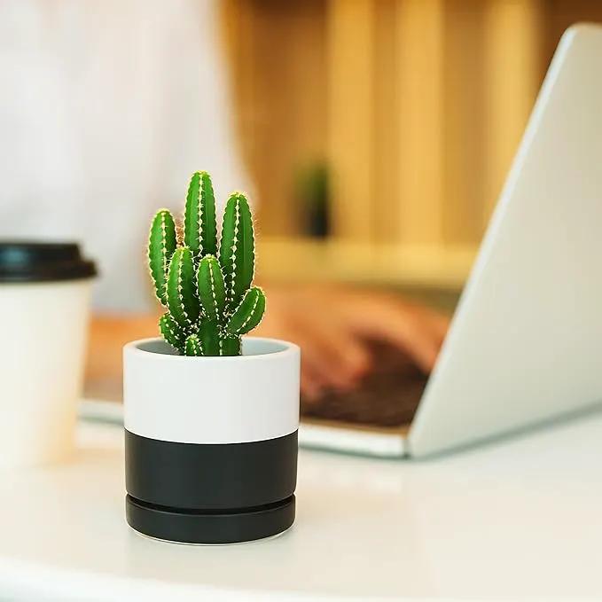 D'vine Dev 3.5 Inch Ceramic Planter Pot with Drainage Hole and Saucer, Indoor Cylinder Round Planter Pot, Layered Monochrome Black & White, 94-O-A-L by GreenHaven Gardens