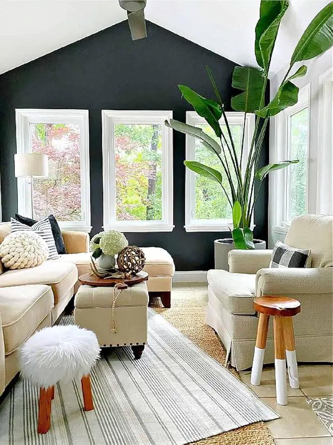 Bird of Paradise - White - Strelitzia Nicholai. (4 White BoP in Cup) by GreenHaven Gardens
