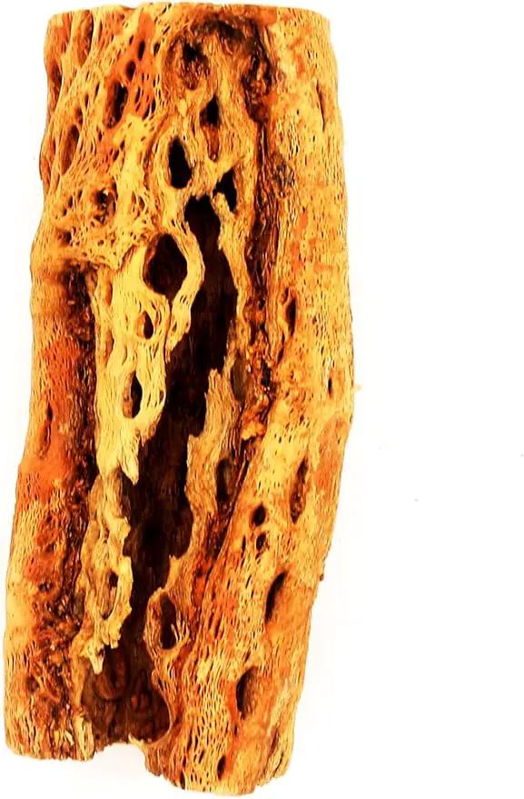 Natural Cholla Wood Chunk Large Air Plant Display Holders Individually Unique Decorative Stands or Holder (Cholla Chunk Extra Large) by GreenHaven Gardens