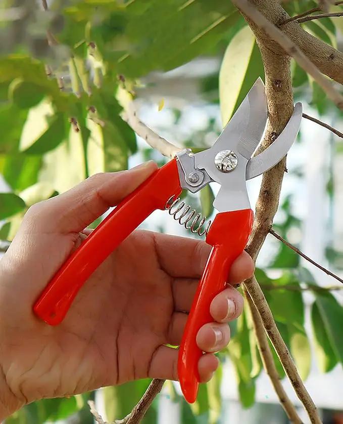 Garden Flower Shears Pruning Shears 6.9 inches Scissors Heavy Duty Plant Scissors for Cutting Flowers, Trimming Plants, Bonsai, Fruits Picking (Red Handle) by GreenHaven Gardens