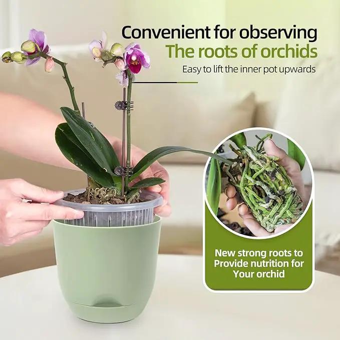 QCQHDU 2 Pack Orchid Pots with Holes for Repotting, Double-Layer and Self Watering Orchid Pot with Good Air Circulation by GreenHaven Gardens