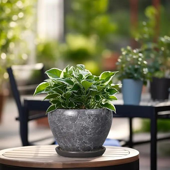 Ceramic Planter - 6 Inch Plant Pot with Drainage Hole and Saucer, Succulent Pot Glaze Round Flower Pot for Indoor Outdoor Plants, Gray by GreenHaven Gardens