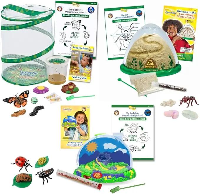 Insect Lore Bug Camp Bundle | Butterfly Kit with 1 Cup Live Caterpillars | Ladybug Land with 1 Tube Live Larvae | Ant Mountain with 1 Tube Live Western Harvester Ants | Life Cycle Figurines & More by GreenHaven Gardens