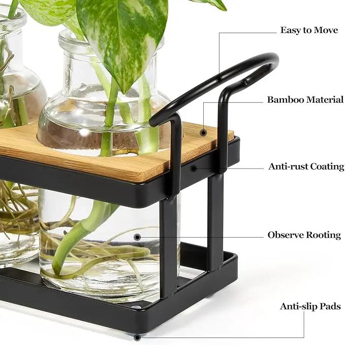 THYGIFTREE Plant Propagation Stations with Metal Stand, Tabletop Plant Terrarium for Propagating Hydroponic, Retro Glass Planter Flower Vase Home Kitchen Office Decor, Plant Lover Gifts, 5 Jars by GreenHaven Gardens