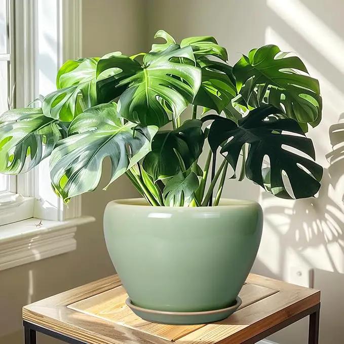 Ceramic Planter Pot - 10 Inch Plant Pot for Indoor Plants Decorative Planter with Drainage Hole and Saucer Large Pot for Plants Outdoor Round Flower Pot for Garden Green by GreenHaven Gardens