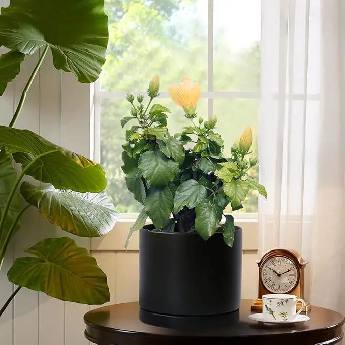 Aveyas 8 inch Ceramic Plant Pot with Drainage Hole and Saucer - Suitable for Indoor and Outdoor Use, Modern Planters for House Garden Flower Tree Snake Monstera Plants (8", Matte Black) by GreenHaven Gardens