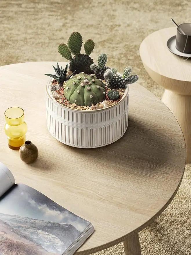 LE TAUCI Succulent Pots, 6.5+8 Inch Ceramic Indoor Plant Pot with Drainage Hole, Modern Round Decorative Flower Pot, Set of 2, Reactive Glaze White by GreenHaven Gardens