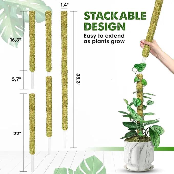 DUSPRO Natural Stackable Moss Pole for Plants Monstera Potted Plant Stakes for Indoor Plants Extendable Plant Pole Moss Sticks for Plants Climbing Vine Supporting Monstera Trellis 10Pcs 22'' by GreenHaven Gardens