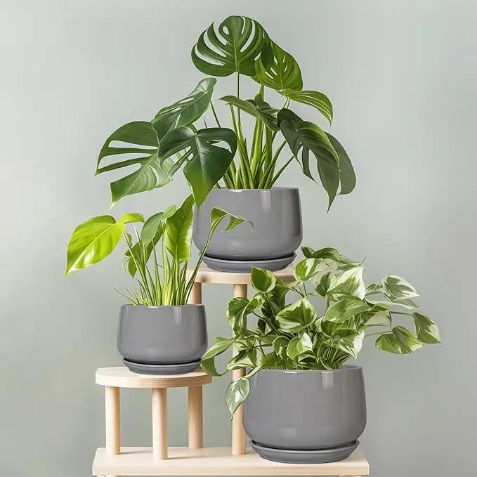 G EPGardening Ceramic Plant Pots - 9 Inch Modern Round Planter with Drainage and Plant Saucer for Indoor Outdoor Flower, Apartment Decor, Birthday Gifts, Grey by GreenHaven Gardens