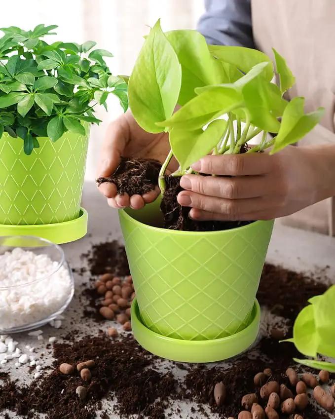 EFISPSS 5 Inch Ceramic Plant Pots Indoor, Planters with Drainage Holes and Ceramic Tray, Relief Design Flower Planter，Desktop Office Windowsill Decoration Gift Set of 4 - Green by GreenHaven Gardens