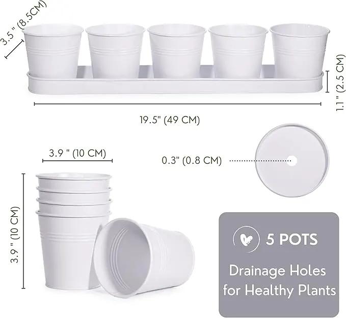SCANDINORDICA White Herb Planter 5 Pots with Drainage Holes and Tray, Windowsill Planter, Indoor/Outdoor Herb Pots by GreenHaven Gardens