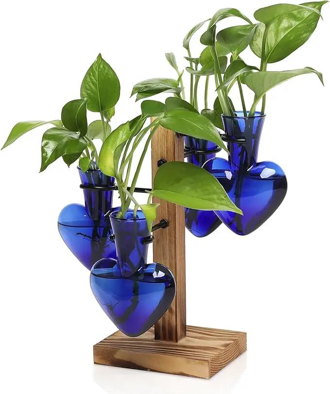 Plants Propagation Stations Plant Terrarium Kit Glass Planters for Indoor Plants House Plant Accessories Gift for Women - 4 Love Vase by GreenHaven Gardens