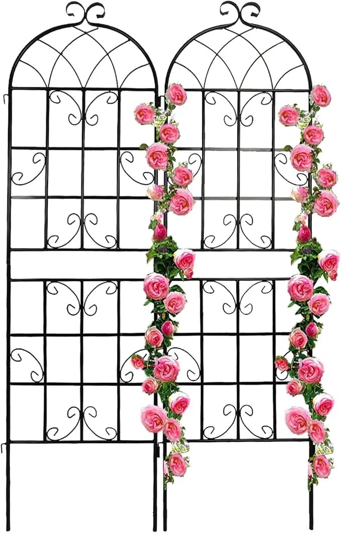 2 Pack Metal Garden Trellis for Climbing Plants 71" x 19.7" Outdoor Fence Rustproof Garden Trellis Support Roses Flower Lawn, Black 6FT by GreenHaven Gardens