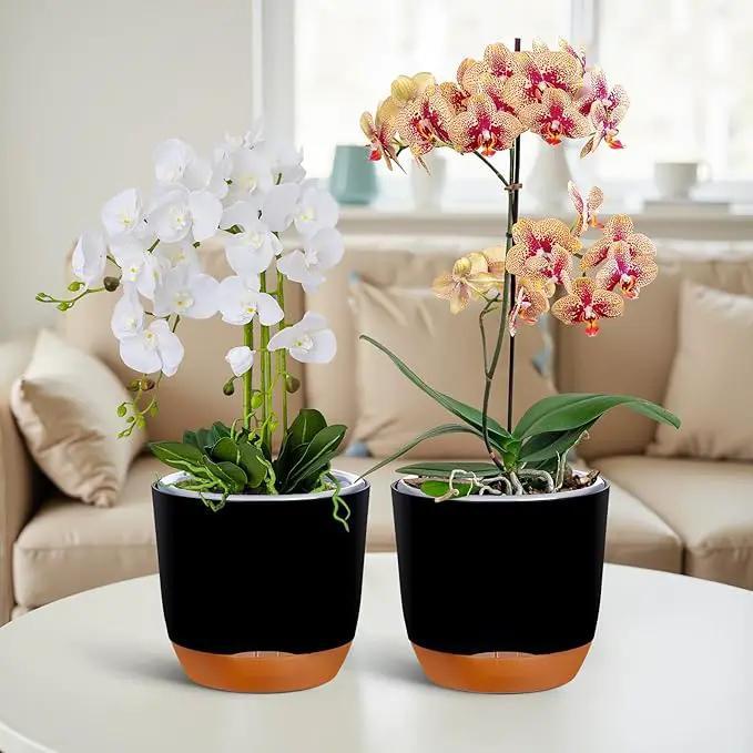QCQHDU 2 Pack Orchid Pots with Holes for Repotting, Double-Layer and Self Watering Orchid Pot with Good Air Circulation by GreenHaven Gardens