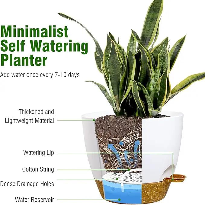 10/9/8 inch Self Watering Pots, Set of 3 Plastic Planters with Mesh Drainage Holes and Deep Reservoir for Indoor Outdoor Garden Plants and Flowers, White with Brown by GreenHaven Gardens