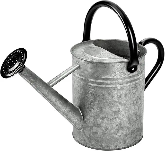 Metal Watering Can, One Gallon Watering Cans Stainless Steel for Outdoor Indoor Garden Plants Watering (Silver 1 Gallon) by GreenHaven Gardens