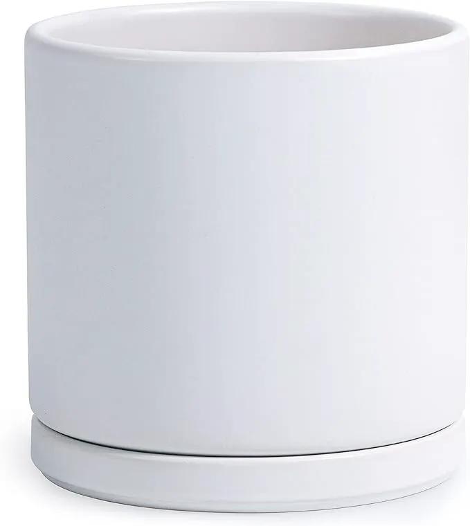 D'vine Dev 8 Inch Ceramic Planter Pot with Drainage Hole and Saucer, Indoor Cylinder Round Planter Pot, White, 94-O-D-1 by GreenHaven Gardens