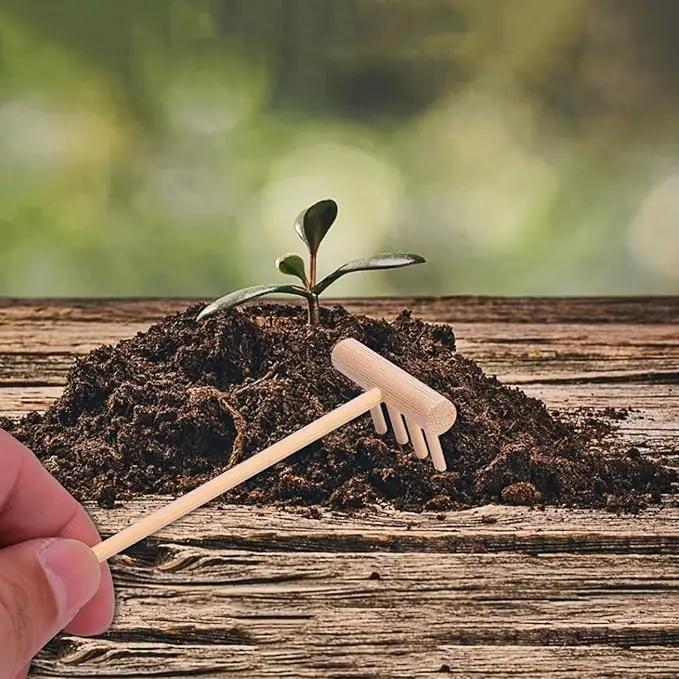 40 pcs Office Table Mini Rakes Rock Drawing Mothers Tool Decoration Serenity Smoothing Push Beige Tools and Zen Garden Gardens Kits Wood for Plants Fathers Hand Four Kits- Kit by GreenHaven Gardens