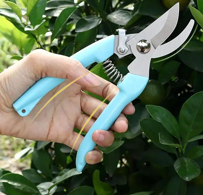 Blue Garden Flower Shears Pruning Shears 6.9 inches Scissors Heavy Duty Plant Scissors for Cutting Flowers, Trimming Plants, Bonsai, Fruits Picking (Blue Handle) by GreenHaven Gardens