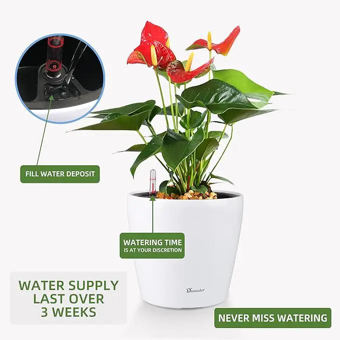 Dexceder 9x8 Inches High Gloss Self Watering Planter Indoor Outdoor, Inner Pot Design, Thickened Table Flower Plant Pot with Water Level Indicator (White) by GreenHaven Gardens
