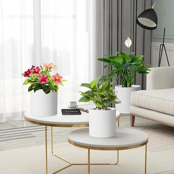8/7/6 inch Plant Pots, 3 Pack Cylinder Flower Pots for Outdoor Indoor Plants, Decorative Plastic Planters with Drainage Holes and Saucers for Garden House Plants, White with Brown by GreenHaven Gardens