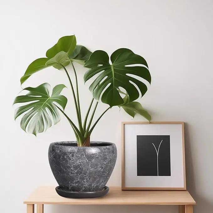 Ceramic Planter - 6 Inch Plant Pot with Drainage Hole and Saucer, Succulent Pot Glaze Round Flower Pot for Indoor Outdoor Plants, Gray by GreenHaven Gardens